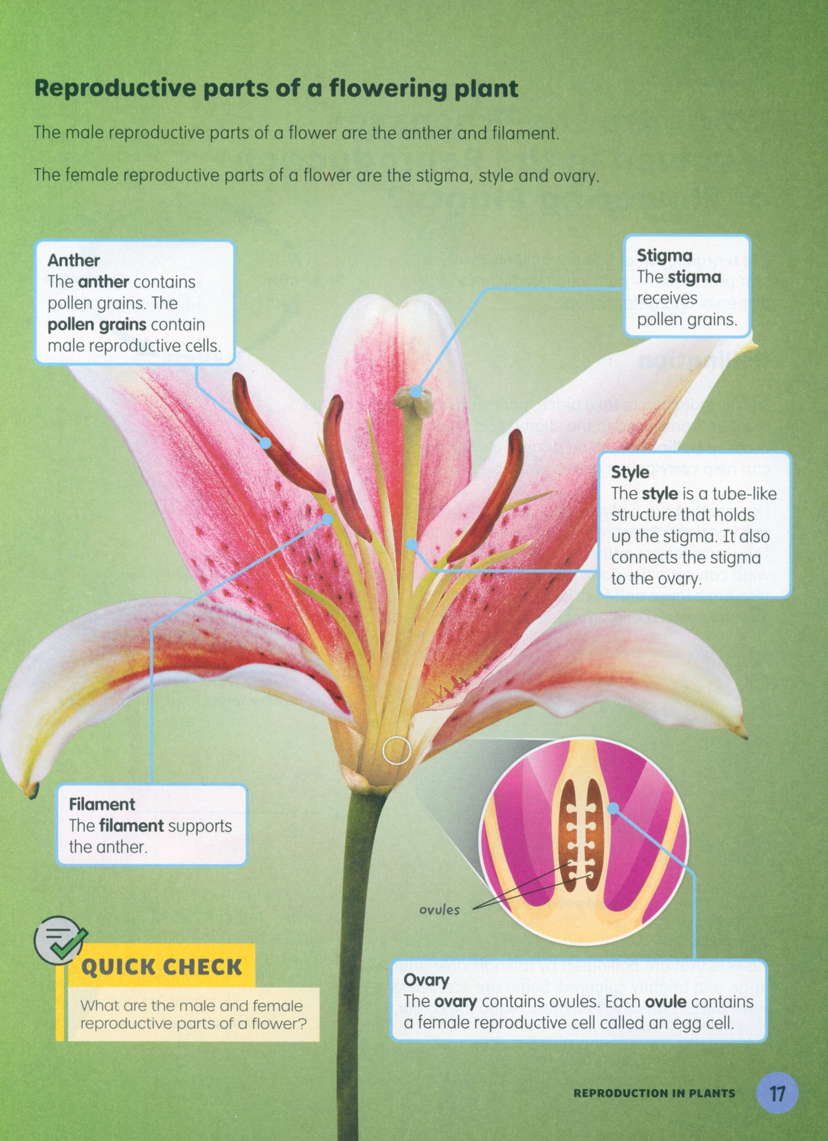 كتاب العلوم للمرحلة الابتدائية - الصف السادس (MPH Science Intl 2E)