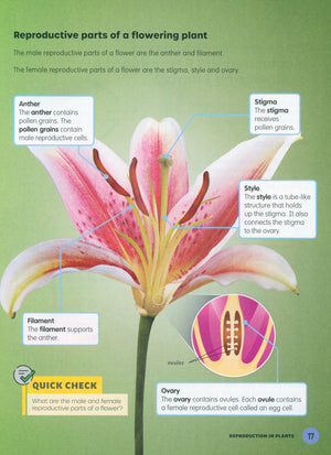 كتاب العلوم للمرحلة الابتدائية - الصف السادس (MPH Science Intl 2E)