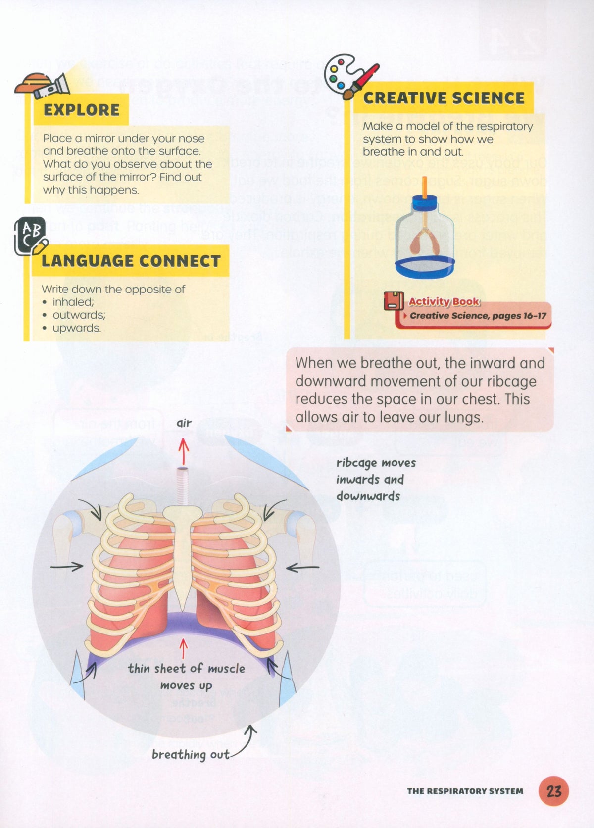 كتاب العلوم MPH Science Intl (2E) للمستوى الخامس الابتدائي