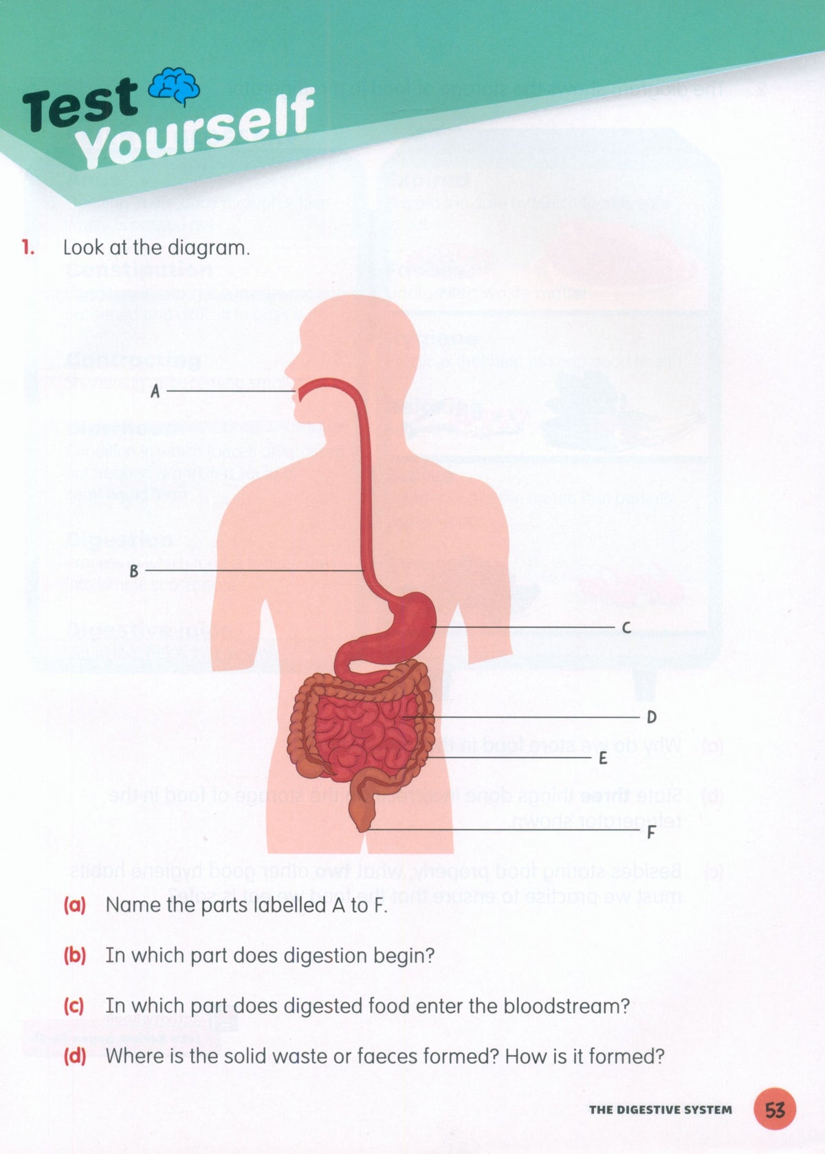 كتاب العلوم MPH Science Intl (2E) للمستوى الخامس الابتدائي