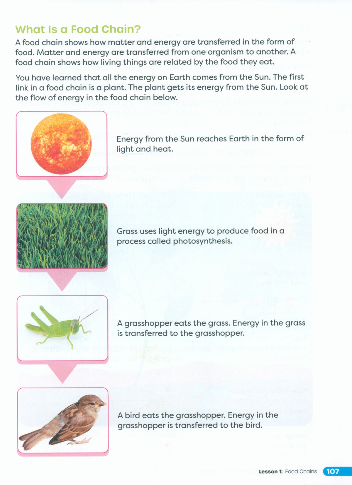 Primary Science Worktext G6A