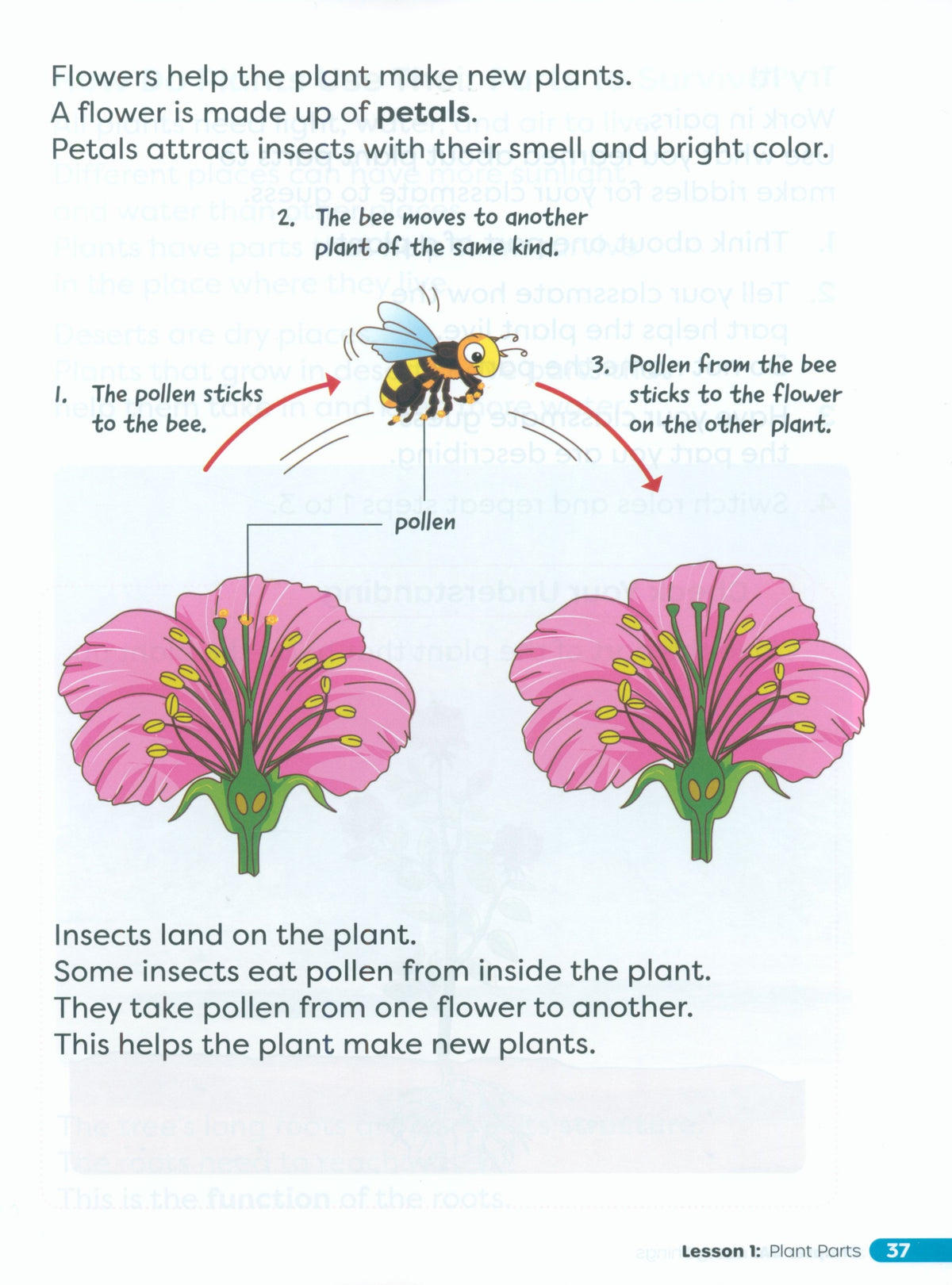Primary Science Worktext G1B