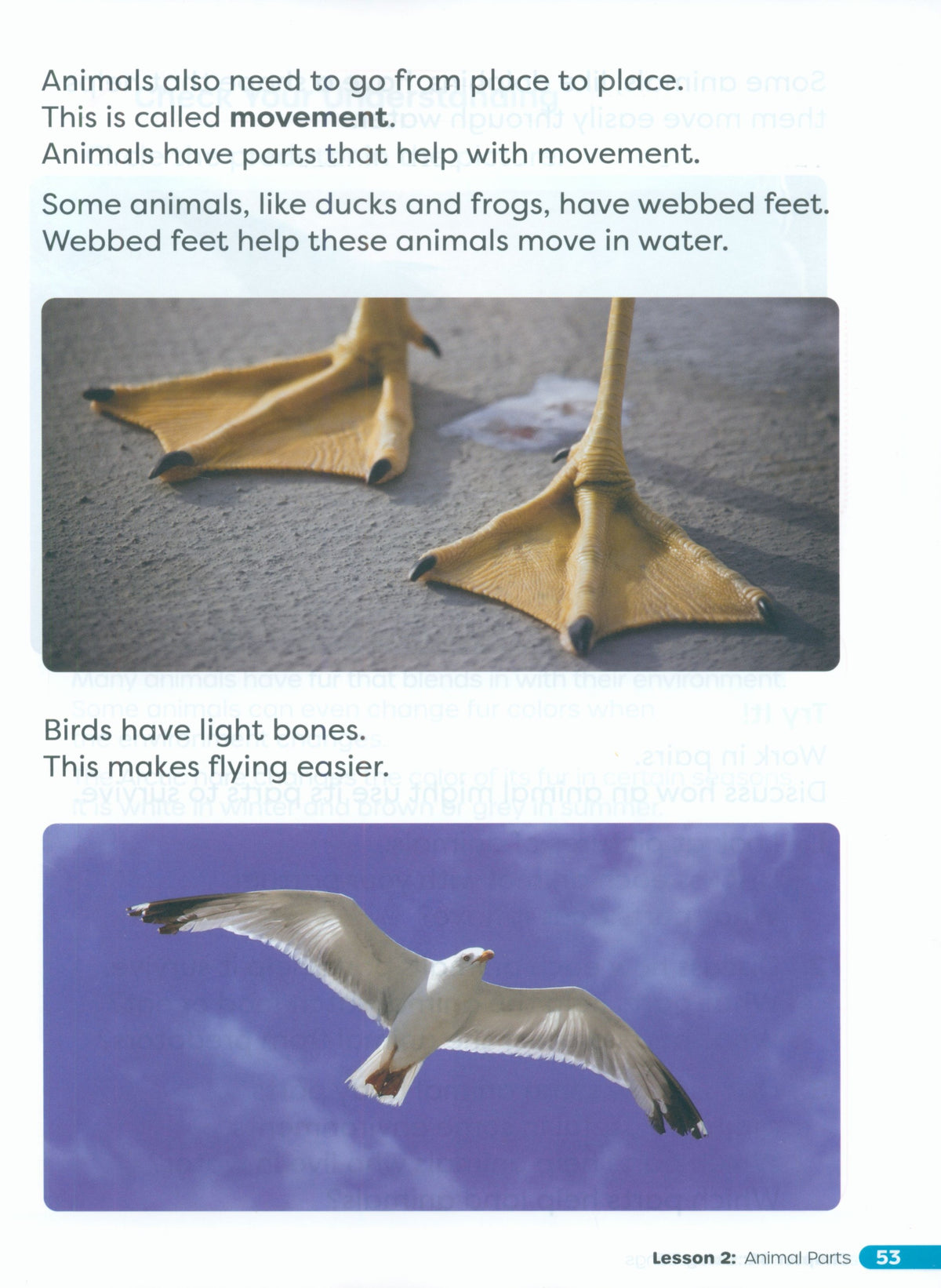 Primary Science Worktext G1B
