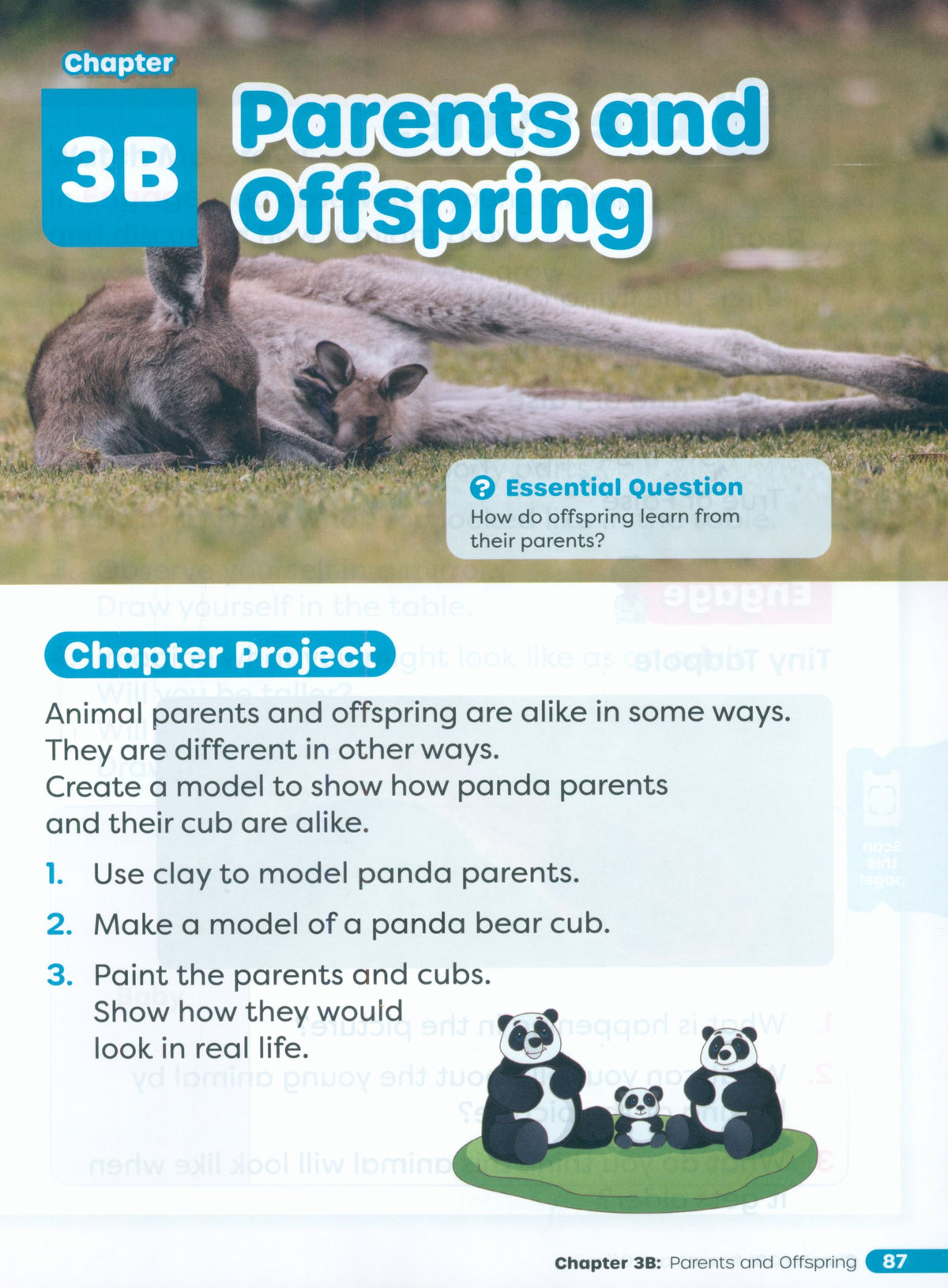 Primary Science Worktext G1B