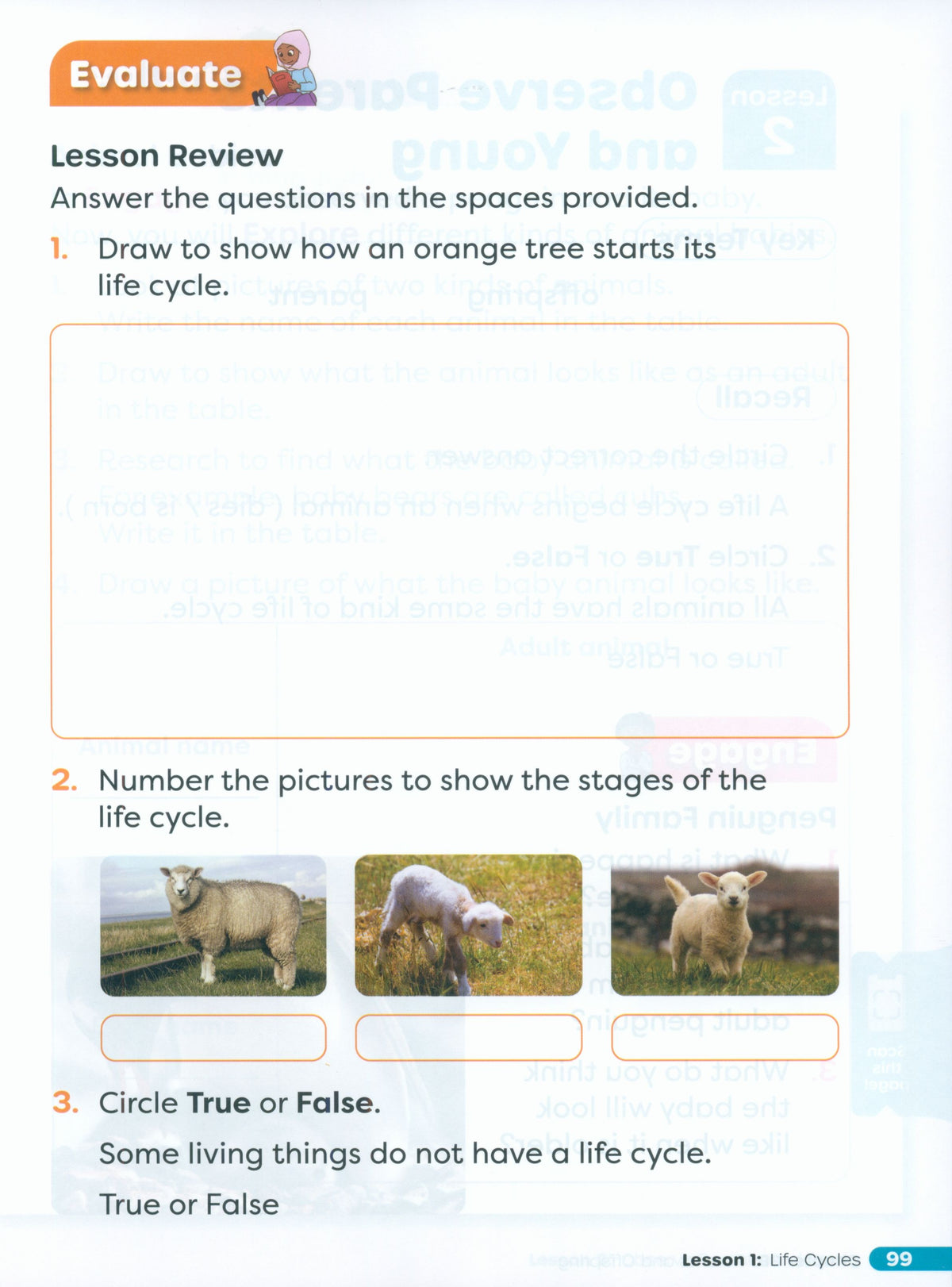Primary Science Worktext G1B