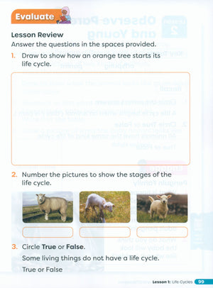 Primary Science Worktext G1B