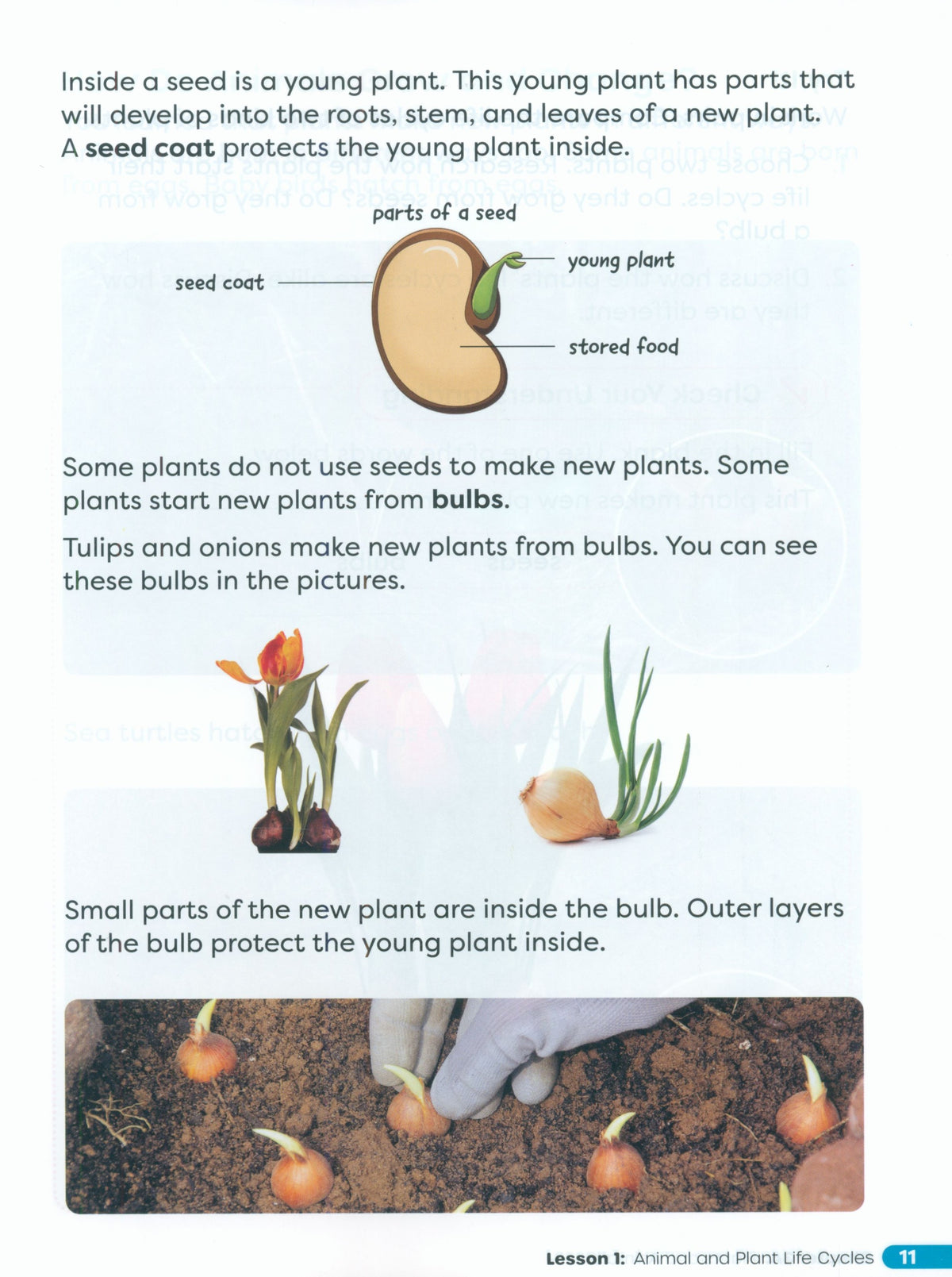 Primary Science Worktext G2B