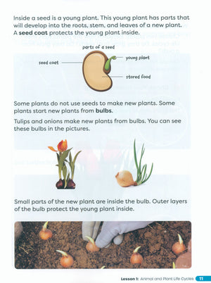 Primary Science Worktext G2B