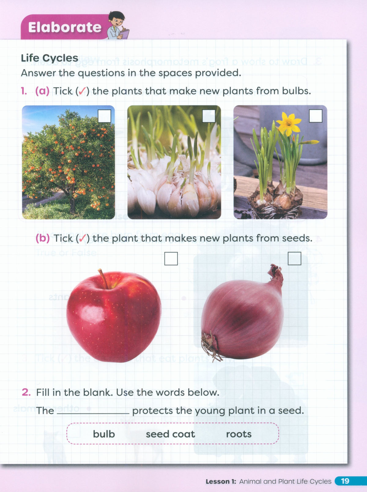 Primary Science Worktext G2B