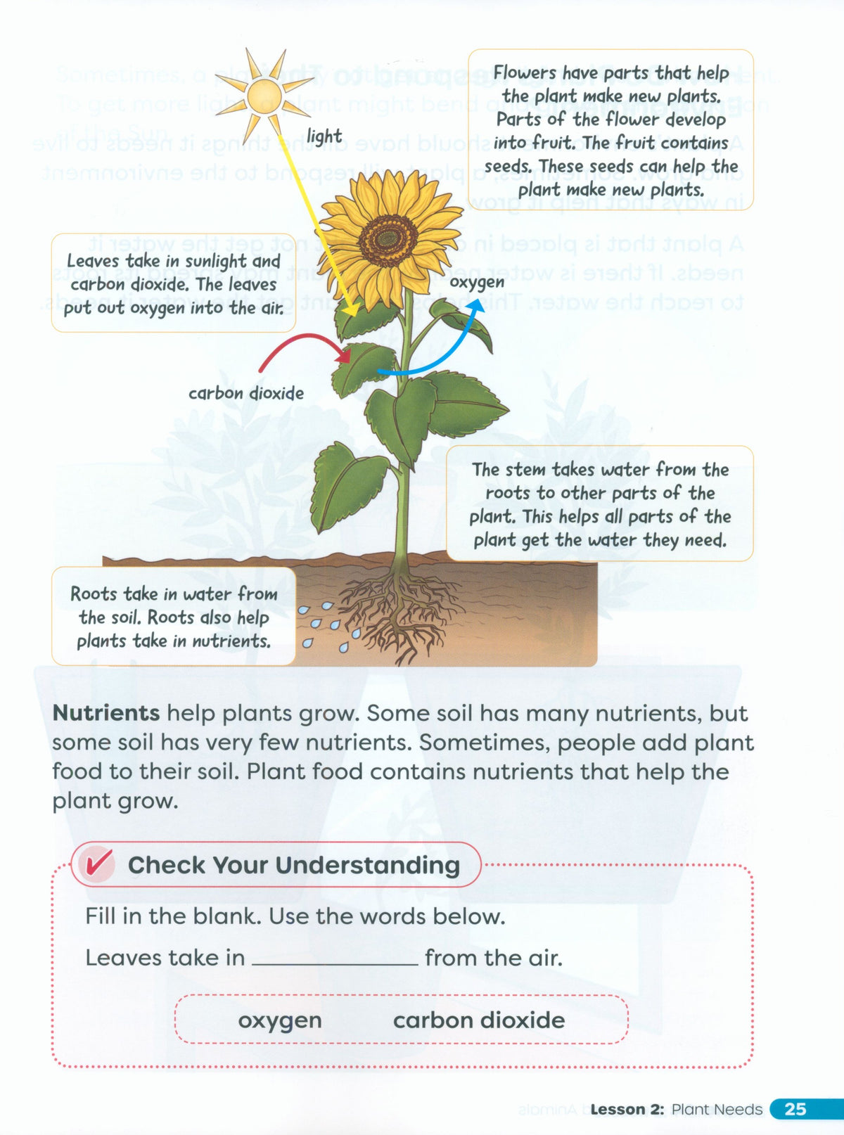 Primary Science Worktext G2B