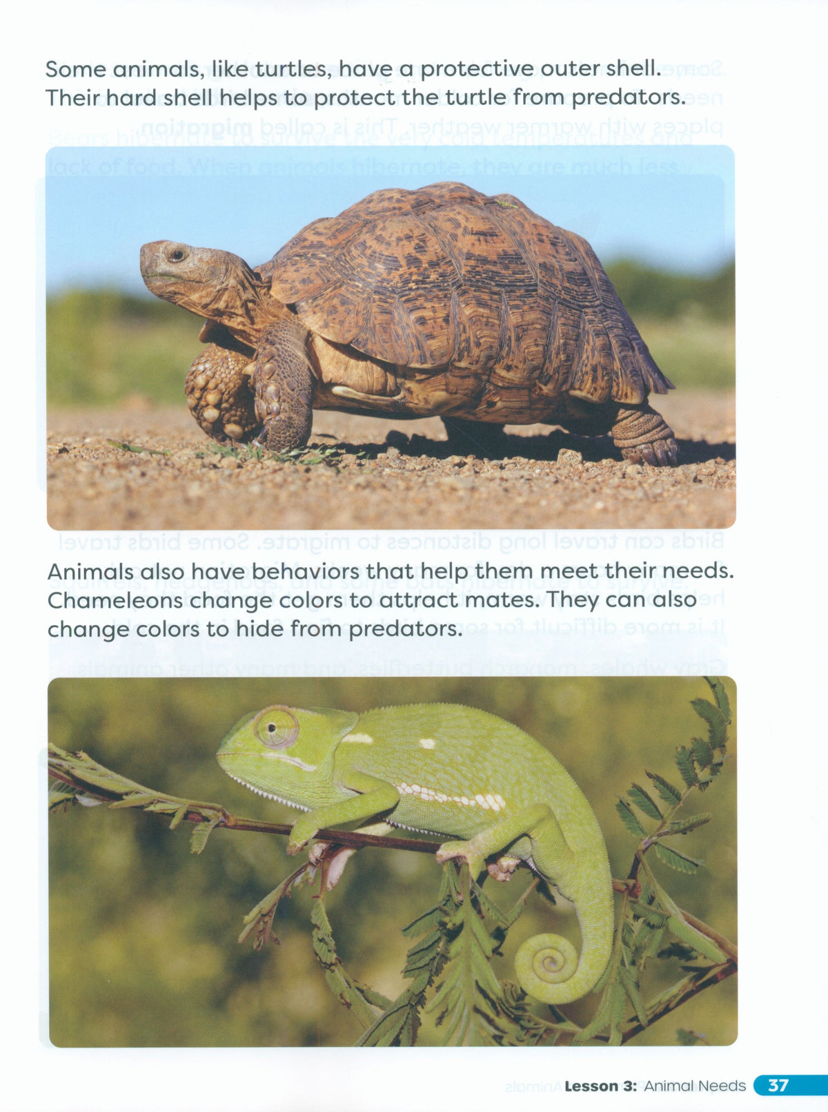 Primary Science Worktext G2B