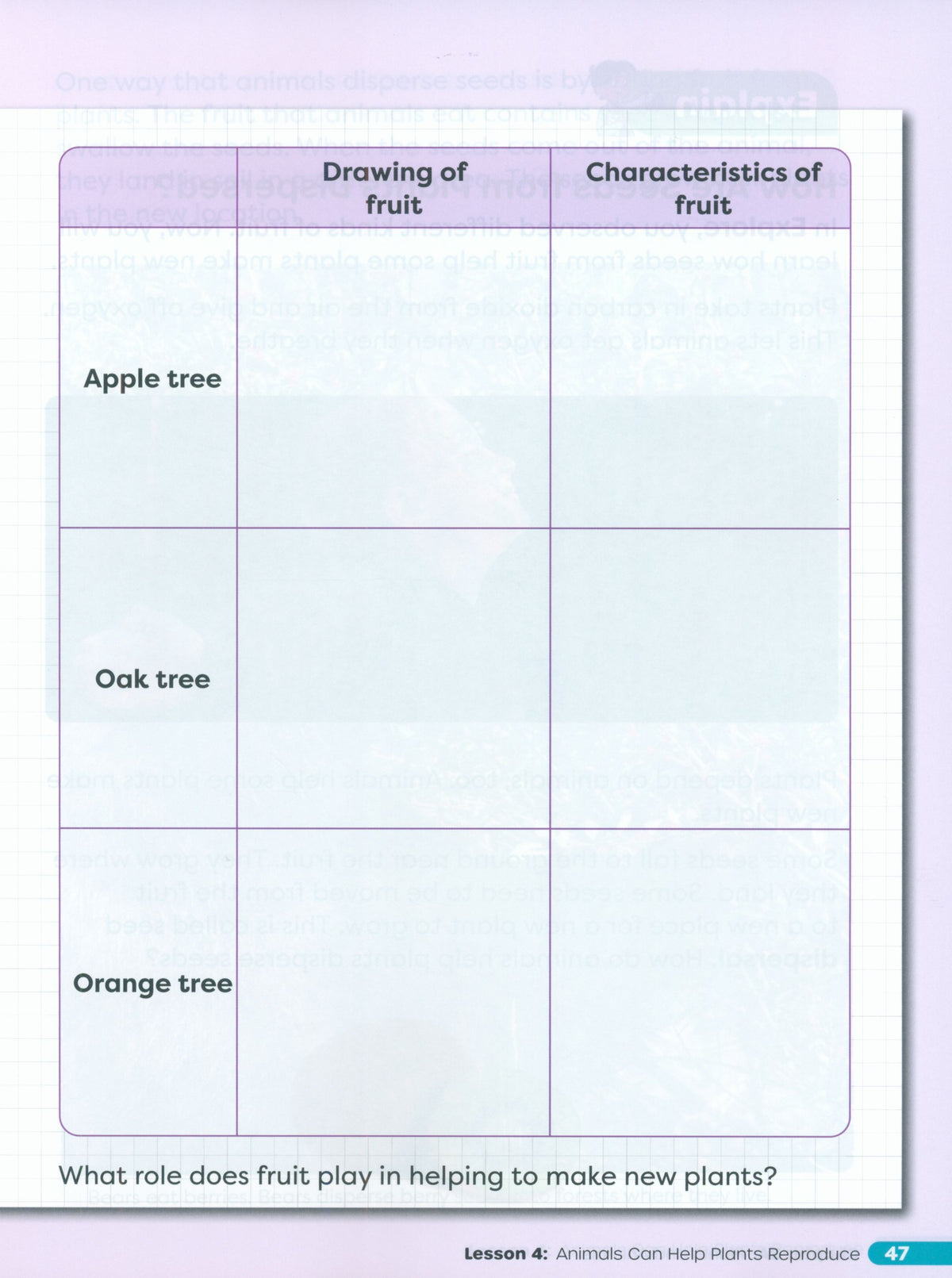 Primary Science Worktext G2B