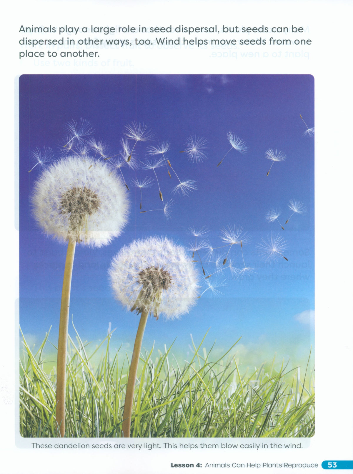 Primary Science Worktext G2B