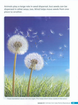 Primary Science Worktext G2B