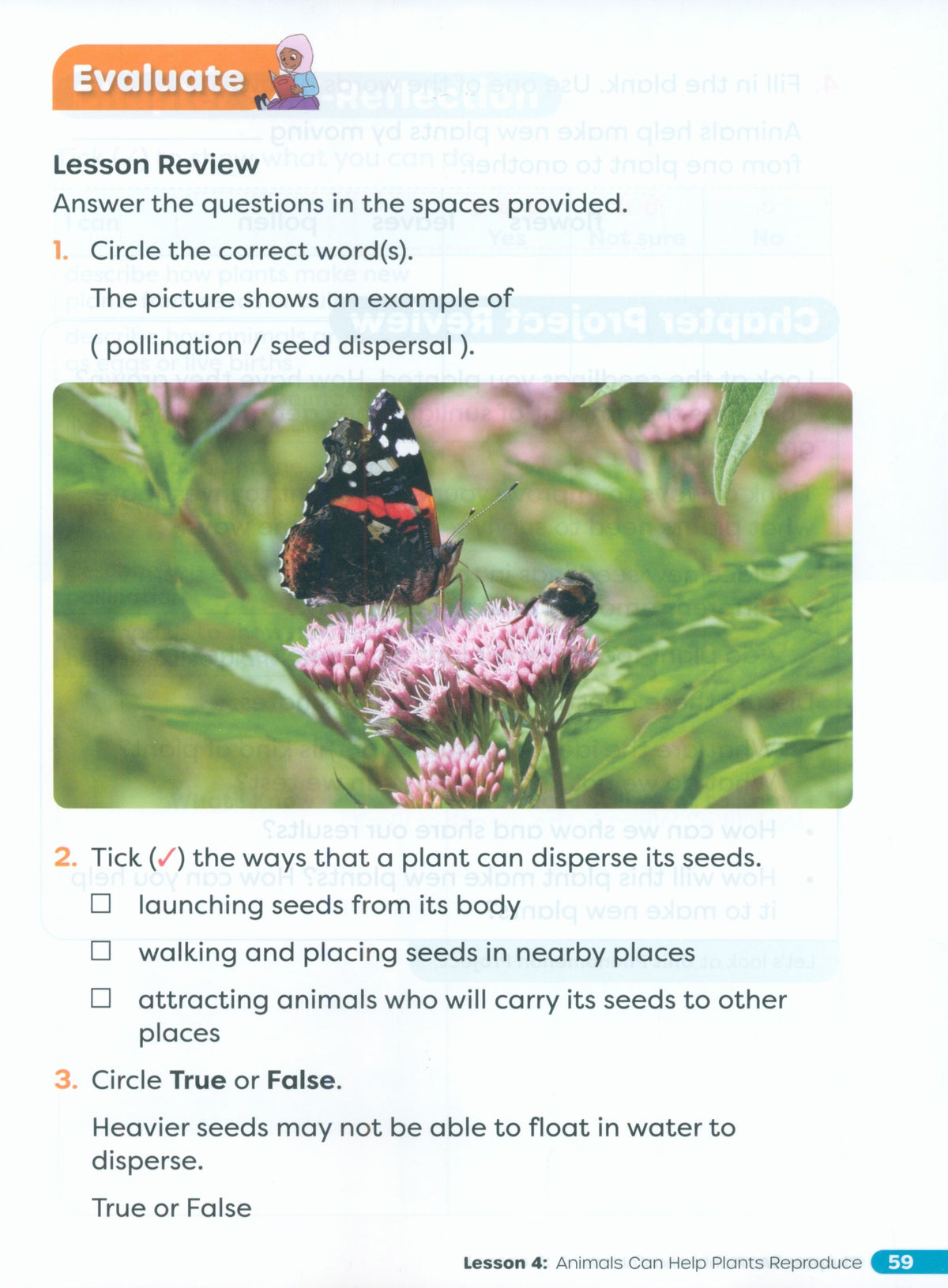 Primary Science Worktext G2B