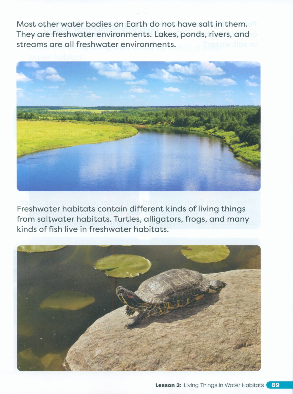 Primary Science Worktext G2B