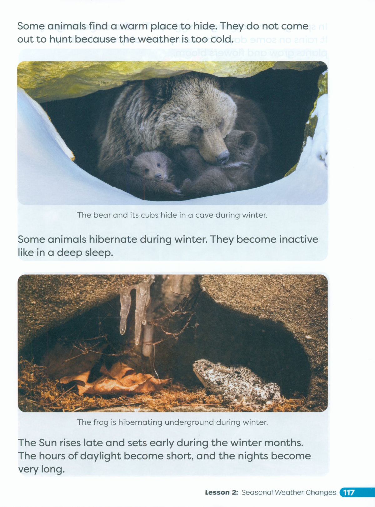Primary Science Worktext G3A