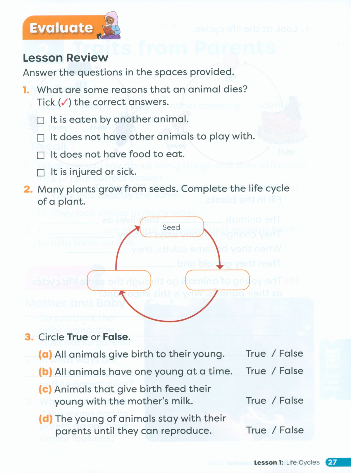 Primary Science Worktext G3B