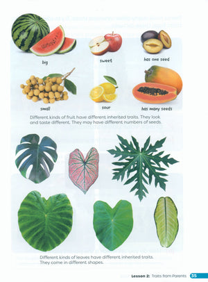Primary Science Worktext G3B