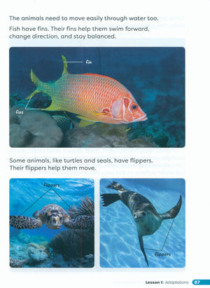 Primary Science Worktext G3B