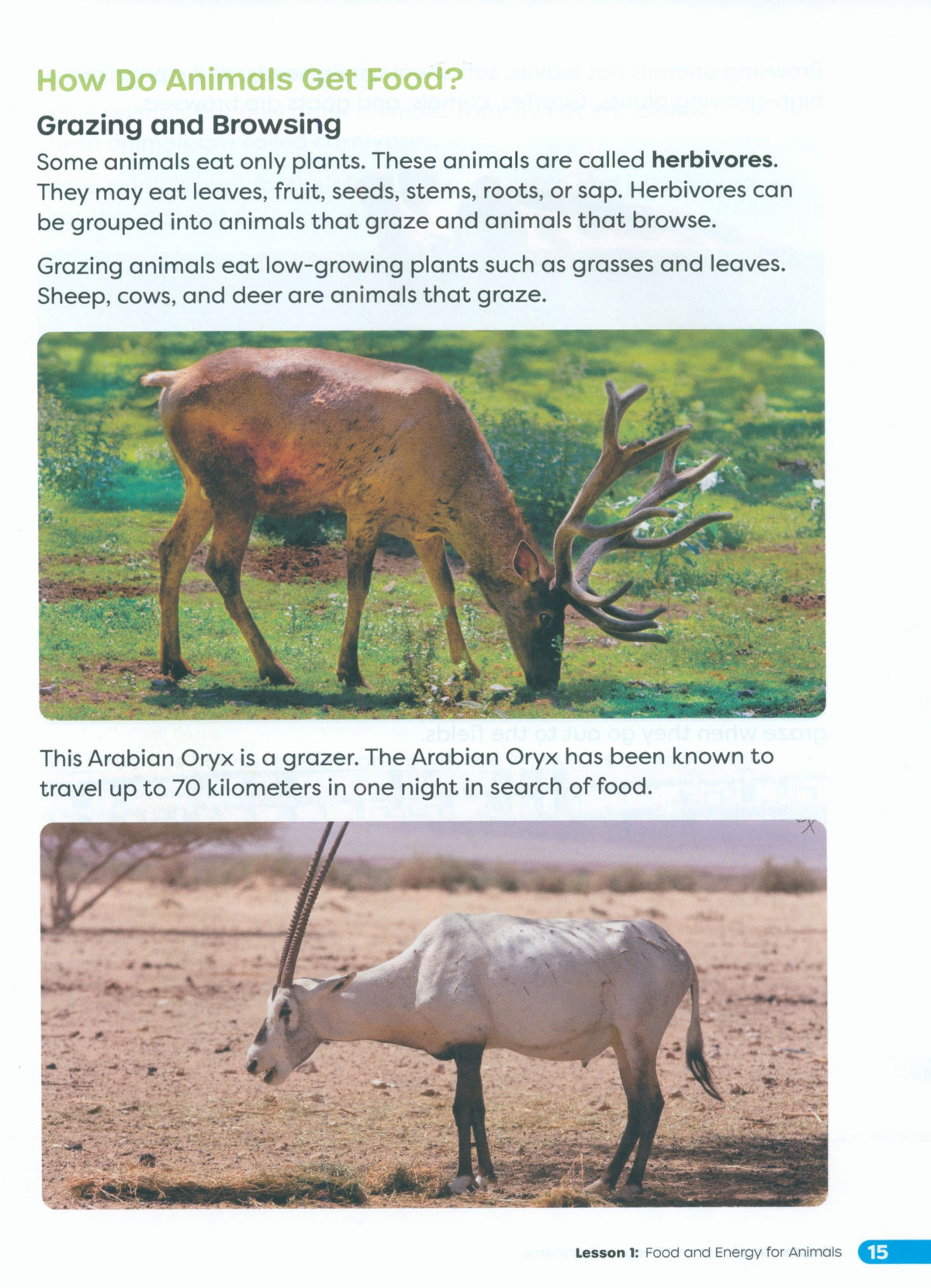 Primary Science Worktext G5B