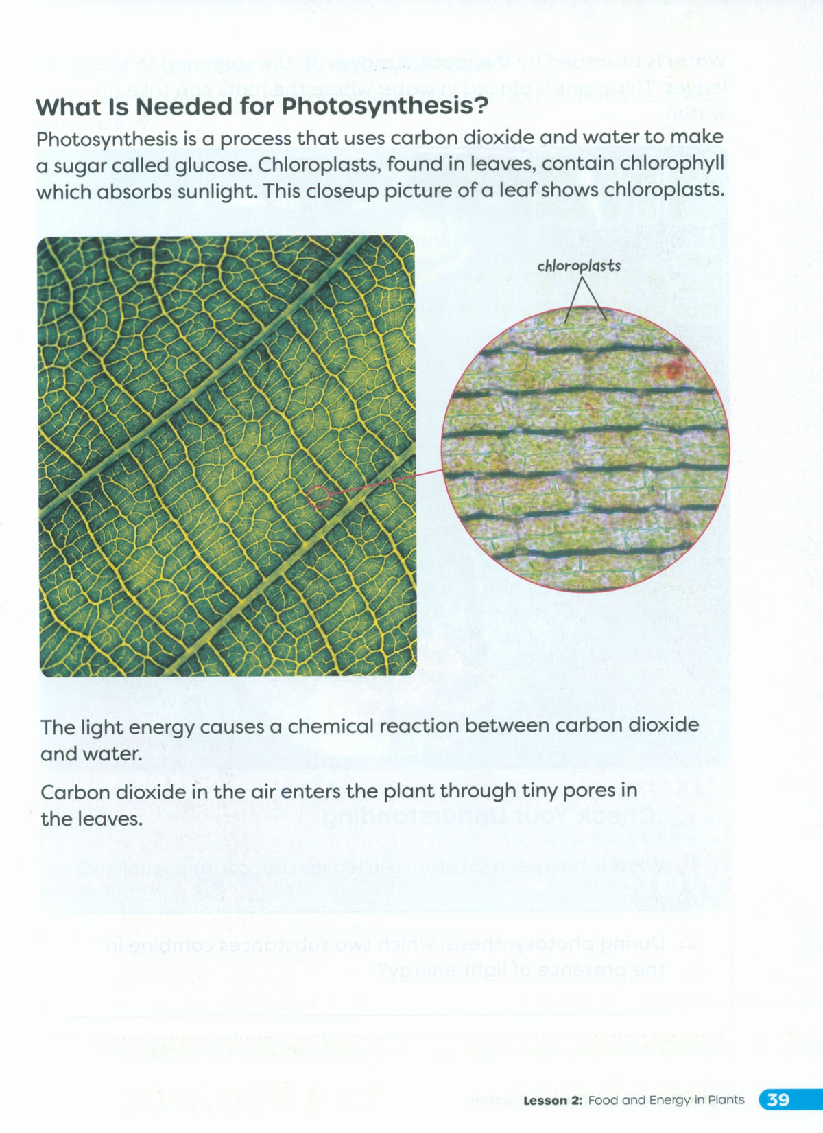 Primary Science Worktext G5B