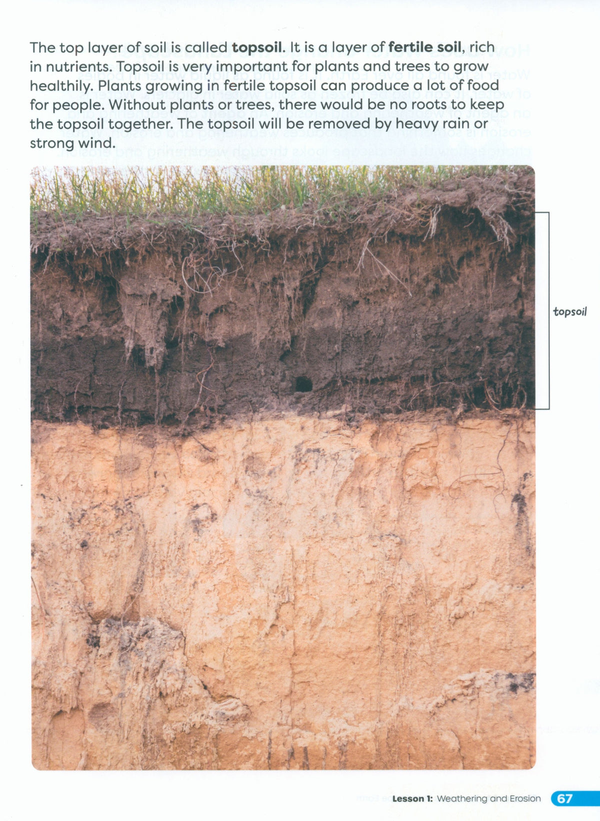 Primary Science Worktext G5B