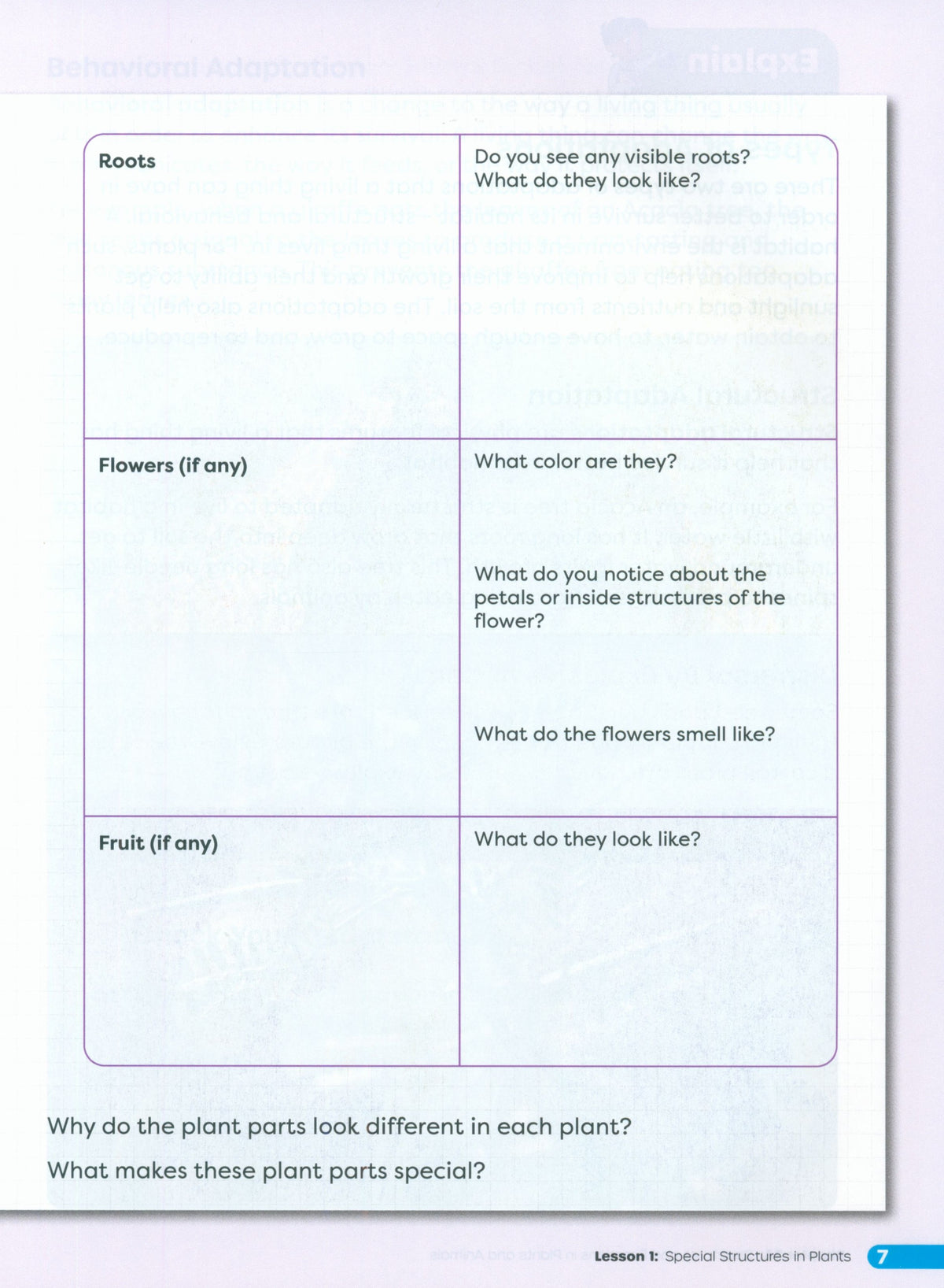 Primary Science Worktext G4B