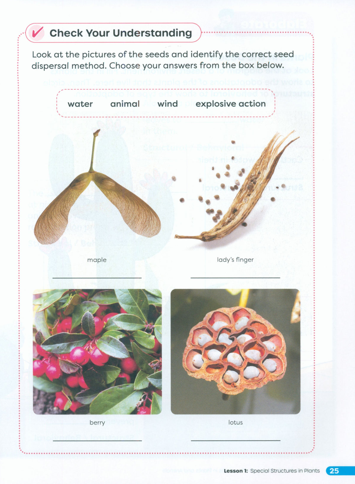Primary Science Worktext G4B