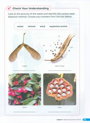 Primary Science Worktext G4B