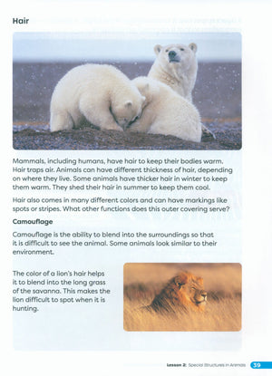 Primary Science Worktext G4B