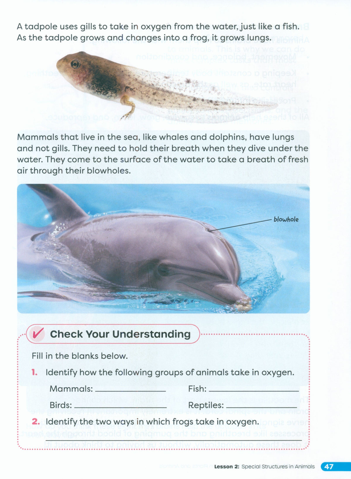 Primary Science Worktext G4B