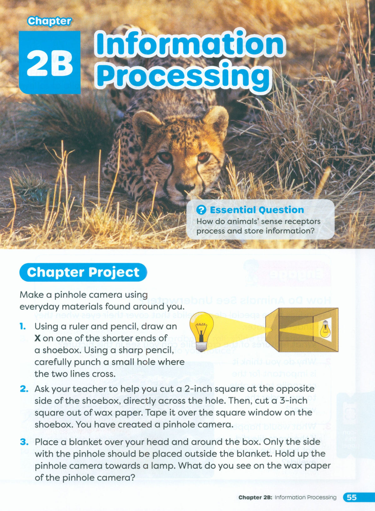 Primary Science Worktext G4B