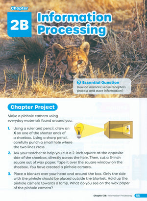Primary Science Worktext G4B