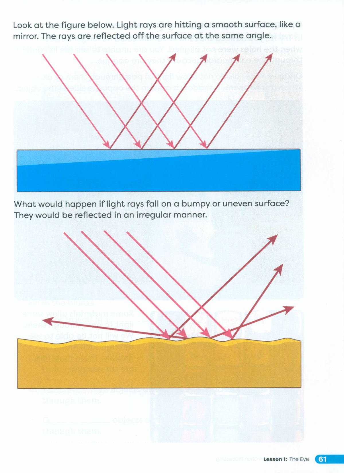 Primary Science Worktext G4B