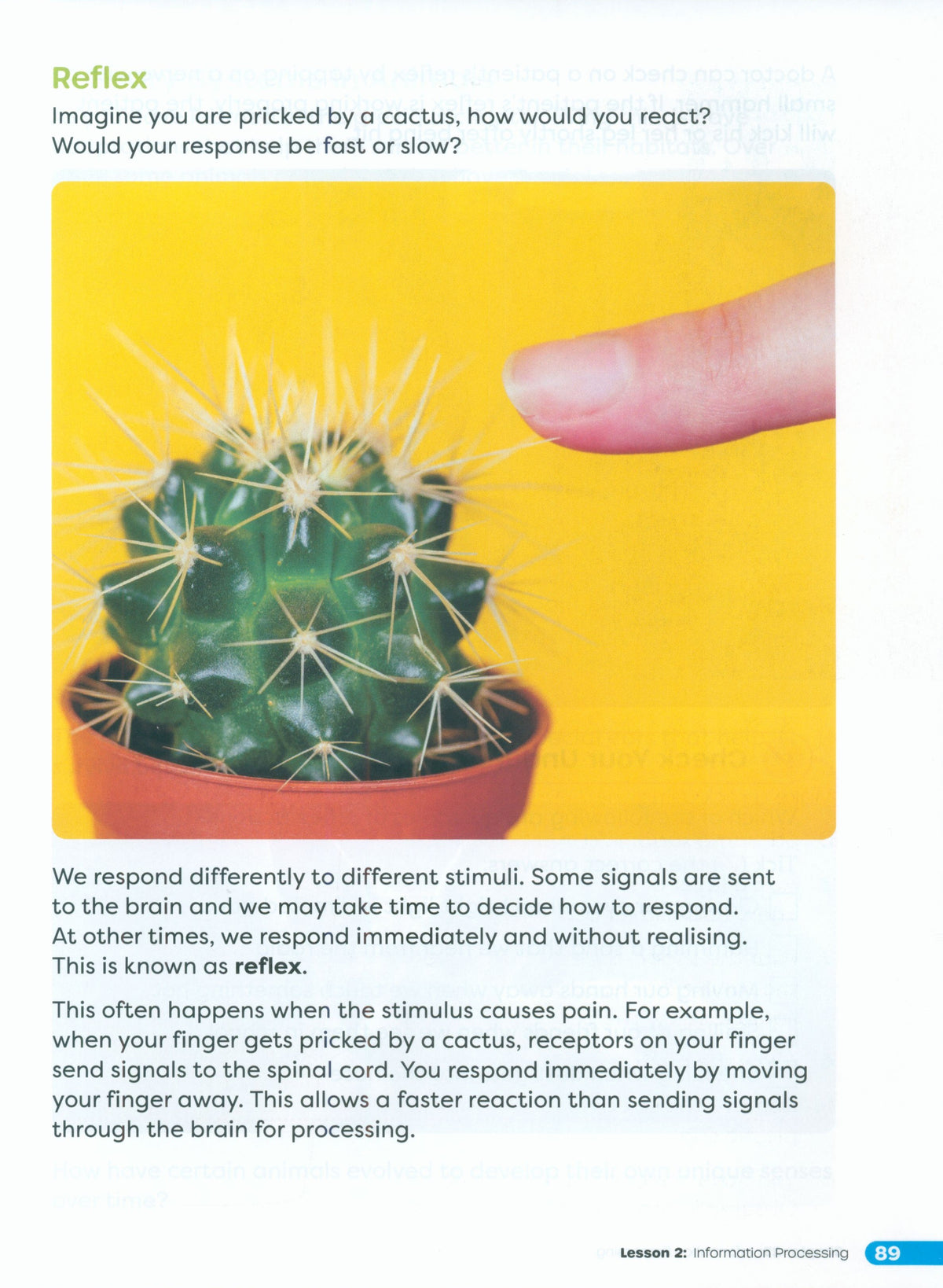 Primary Science Worktext G4B