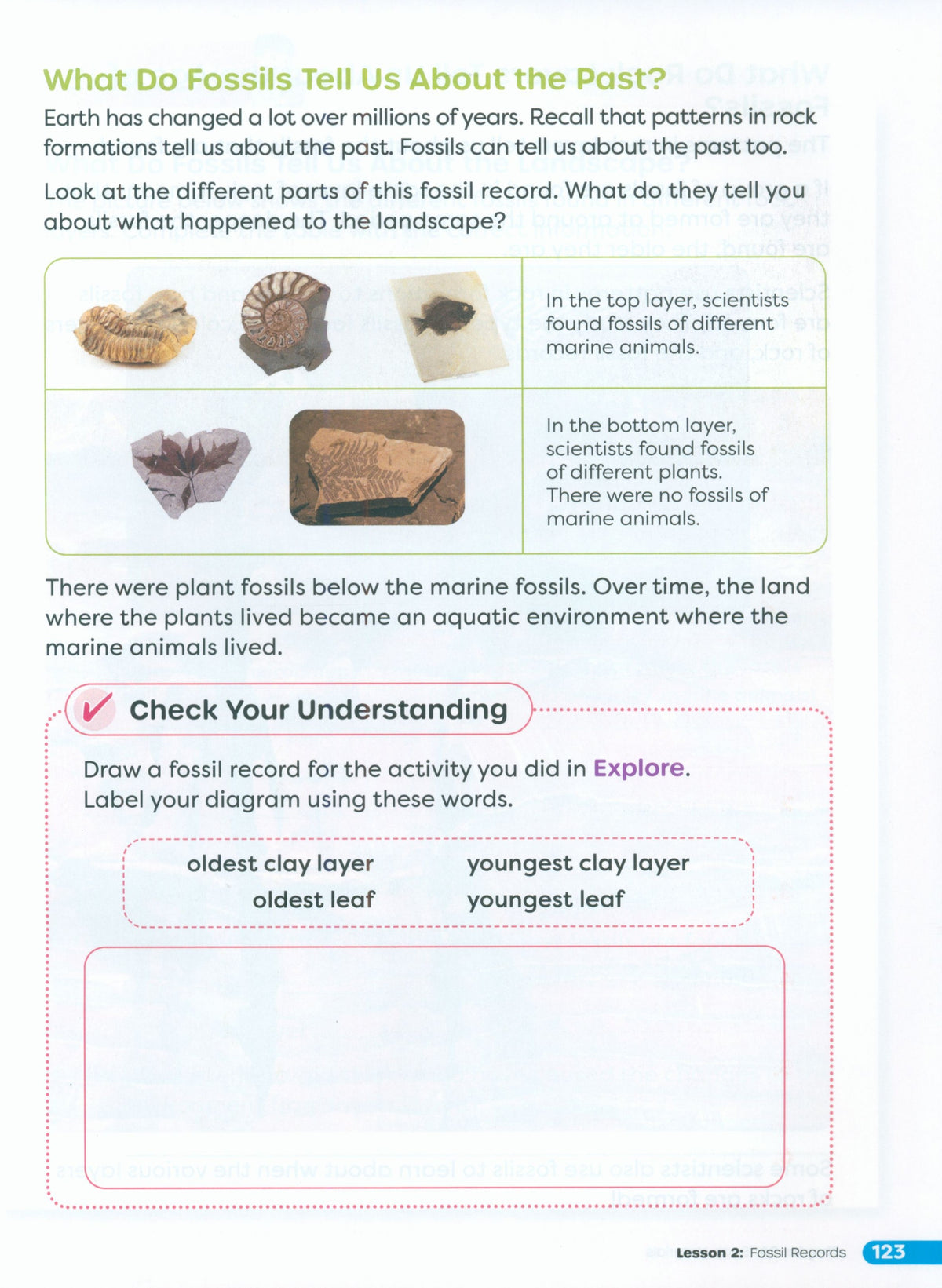 Primary Science Worktext G4B