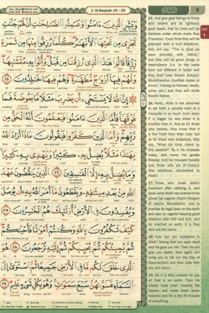 القرآن الكريم مقدِس ترجمة كلمة بكلمة وتجويد ملون حجم B5 7.5 × 9