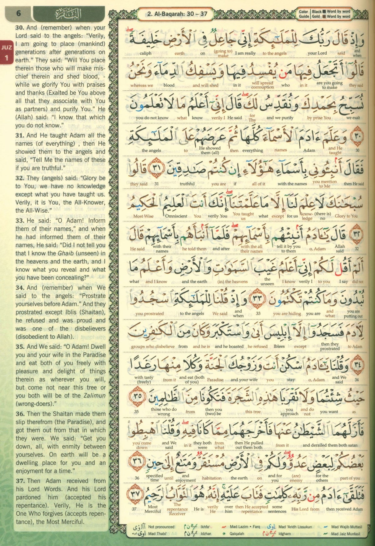 القرآن الكريم مقدِس ترجمة كلمة بكلمة وتجويد ملون حجم B5 7.5 × 9