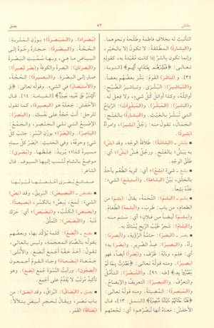 مختار الصحاح