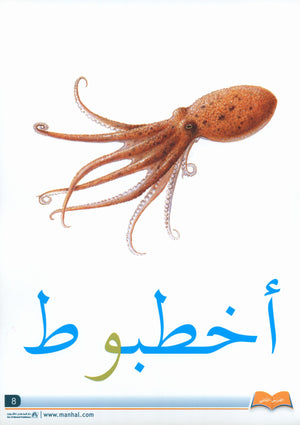 Arabic Friends Flash Cards Level PreK أصدقاء العربية البطاقات التعليمية