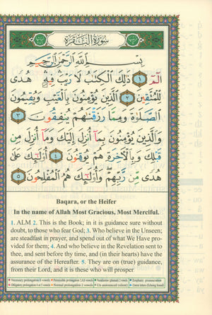 Tajweed Quran with Meanings Translation and Transliteration - 30 Parts (7