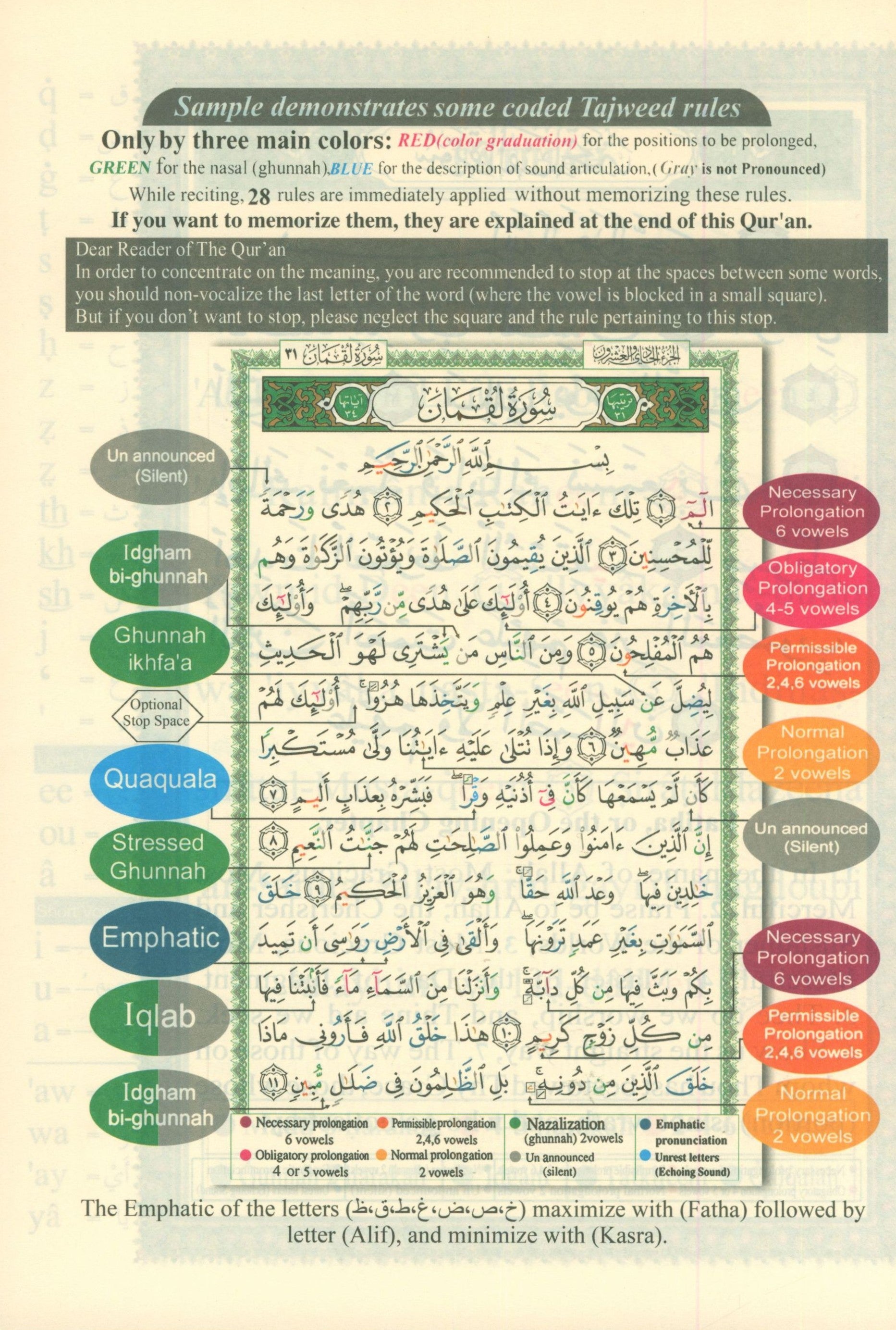 Tajweed Quran with Meanings Translation and Transliteration - 30 Parts (7