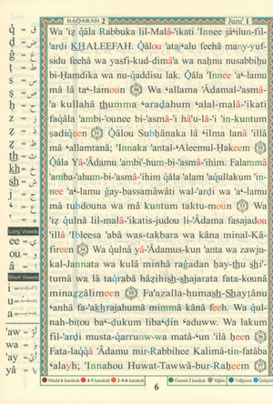 Tajweed Quran with Meanings Translation and Transliteration - 30 Parts (7