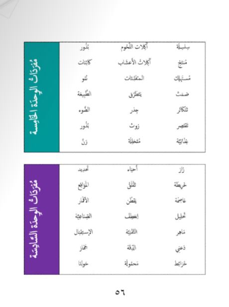 Our Language Is Our Pride: Bench Markes and Assessment Tests