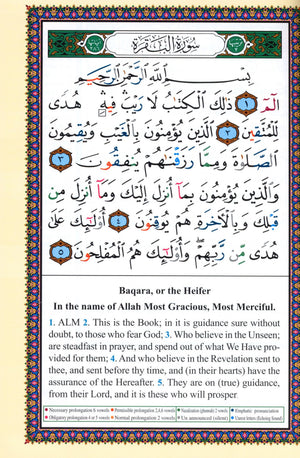 تجويد القرآن مع الترجمة الإنجليزية 7 × 9